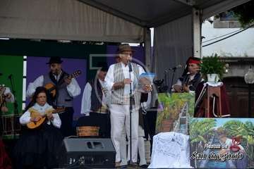 II Festival Tajea y Torna 7 Islas en Los Llanos de Telde (Francisco Javier Santana)